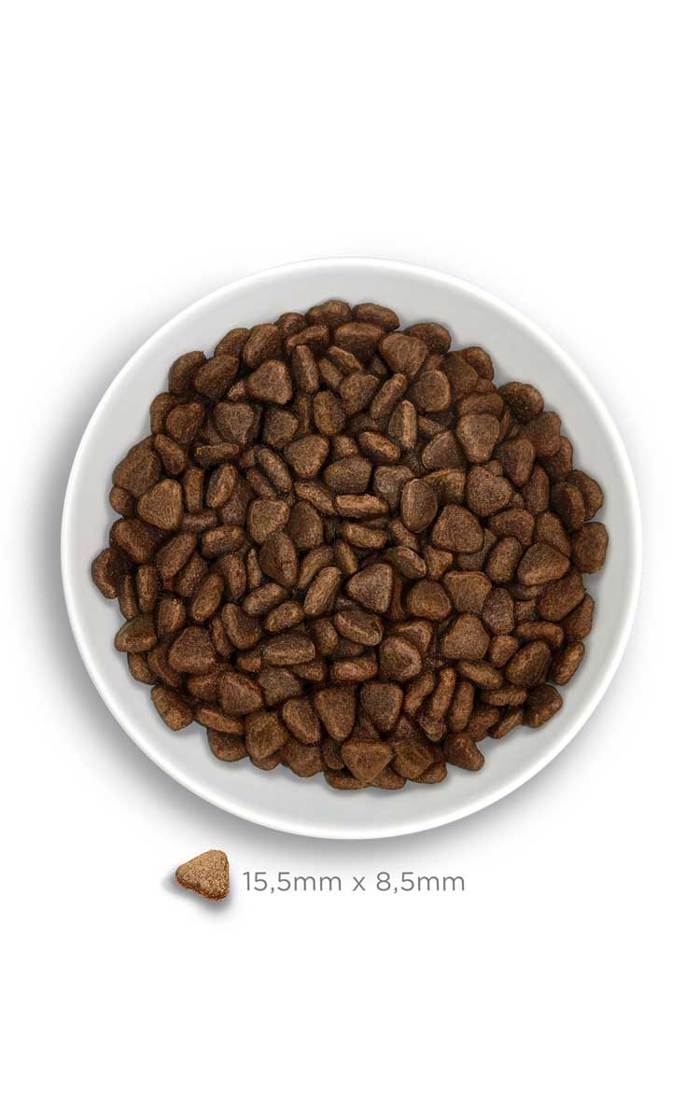 Amanova Adult Exigent Iberian Pork Grain Free Xira Trofi xoris Sitira ga Enilikous Skulous me Xoirino 2Kg
