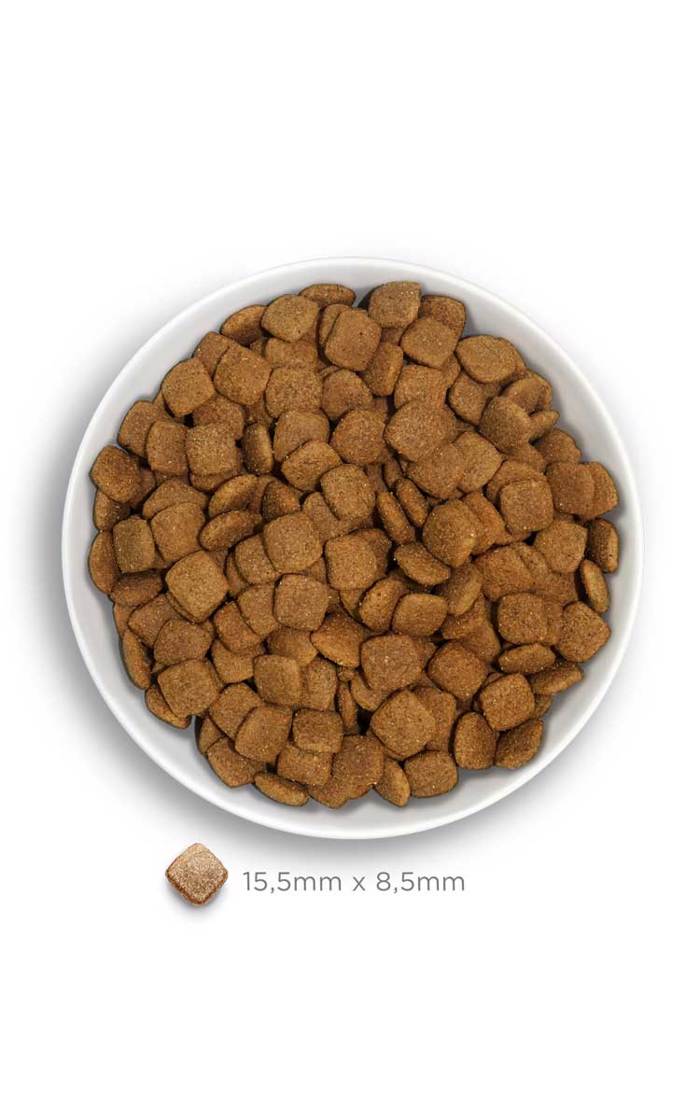 Amanova Adult Mature Fish Delicacy Low Grain Xira Trofi ga Ilikiomenous Skulous me Psaria 2kg