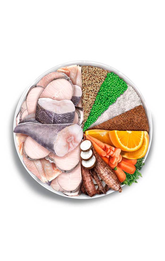 Amanova Adult Mature Fish Delicacy Low Grain Xira Trofi ga Ilikiomenous Skulous me Psaria 2kg