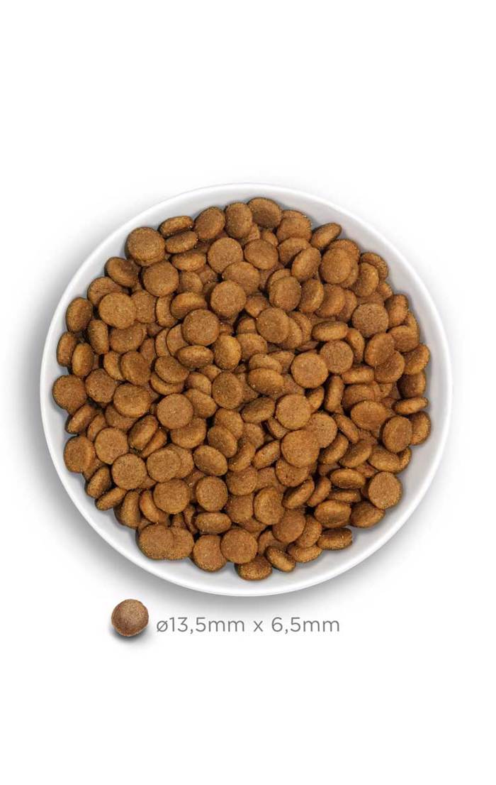 Amanova Adult Medium Exquisite Chicken Low Grain Xira Trofi me Lig Sitira ga Enilikous Skulous Mesaion Fulon me Kotopoulo 12kg	