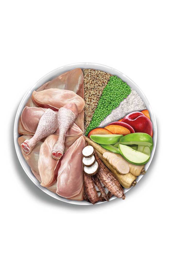 Amanova Adult Medium Exquisite Chicken Low Grain Xira Trofi me Lig Sitira ga Enilikous Skulous Mesaion Fulon me Kotopoulo 12kg	