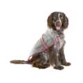 DOG RAINCOAT CLASSIC 30cm