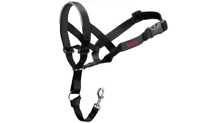 HALTI EKPAIDEuTIKO MOuSOuDOLOuRO HEADCOLLAR No0