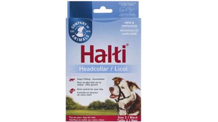 HALTI EKPAIDEuTIKO MOuSOuDOLOuRO HEADCOLLAR No2