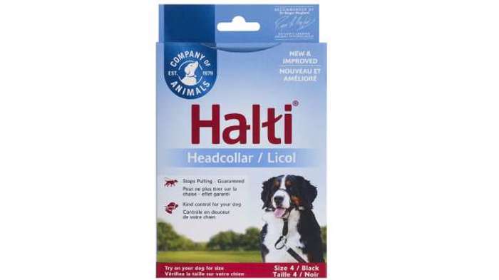 HALTI EKPAIDEuTIKO MOuSOuDOLOuRO HEADCOLLAR No4