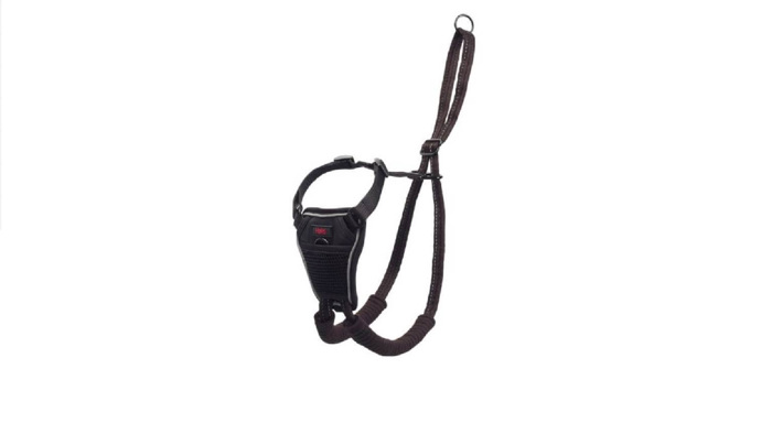 HALTI SAMARAKI SKuLOu NON-PULL HARNESS MEDIUM