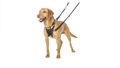 HALTI SAMARAKI SKuLOu NON-PULL HARNESS MEDIUM