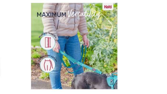 HALTI ANATOMIKOS ODIGS MULTI LEAD GREY LARGE