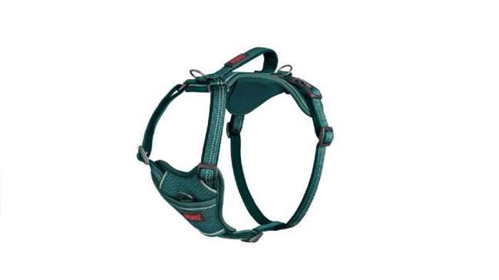HALTI ANATOMIKO SAMARAKI TEAL SMALL
