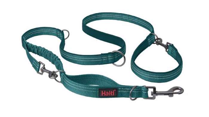 HALTI ANATOMIKOS ODIGS MULTI LEAD TEAL SMALL