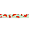 Samaraki Skulou Max & Molly Watermelon 
