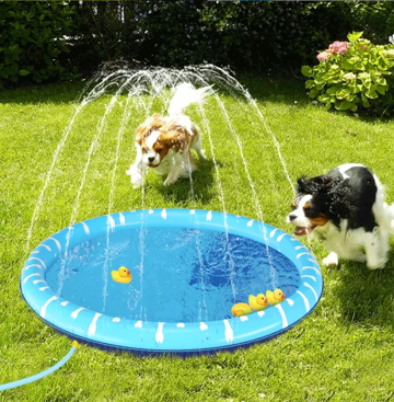 Nobleza Σιντριβάνι-Πισίνα Κατοικιδίου 1m