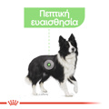 ROYAL CANIN MEDIUM DIGESTIVE CARE 3KG XIRA TROFI SKuLOu