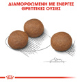 ROYAL CANIN MEDIUM DIGESTIVE CARE 3KG XIRA TROFI SKuLOu