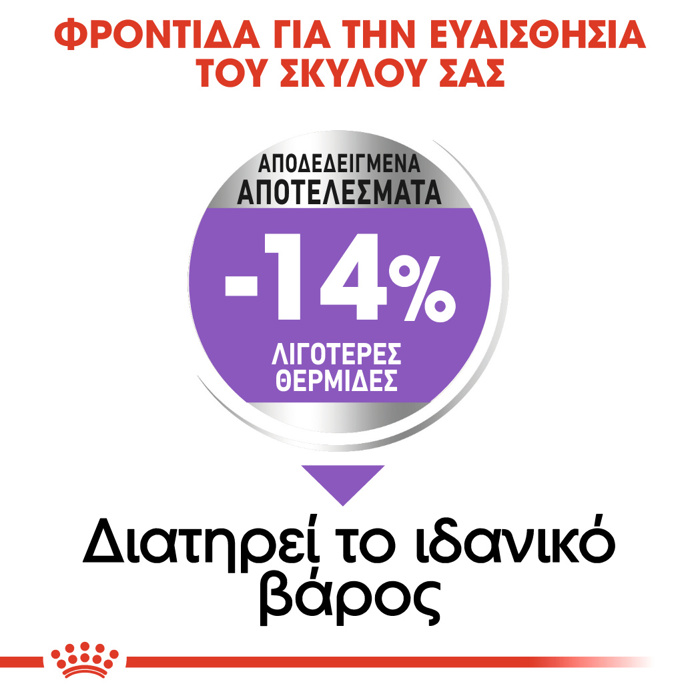 ROYAL CANIN MAXI STERILISED ADULT 12KG ΞΗΡΑ ΤΡΟΦΗ ΣΚΥΛΟΥ ROYAL CANIN MAXI STERILISED ADULT 12KG XIRA TROFI SKuLOu
