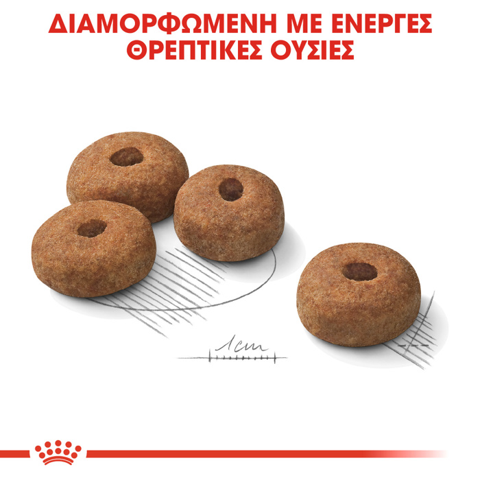 ROYAL CANIN MAXI STERILISED ADULT 12KG ΞΗΡΑ ΤΡΟΦΗ ΣΚΥΛΟΥ ROYAL CANIN MAXI STERILISED ADULT 12KG XIRA TROFI SKuLOu