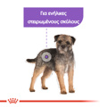 Royal Canin Mini Sterilised Adult 1kg Xira Trofi Skulou