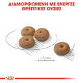 Royal Canin Mini Sterilised Adult 1kg Xira Trofi Skulou