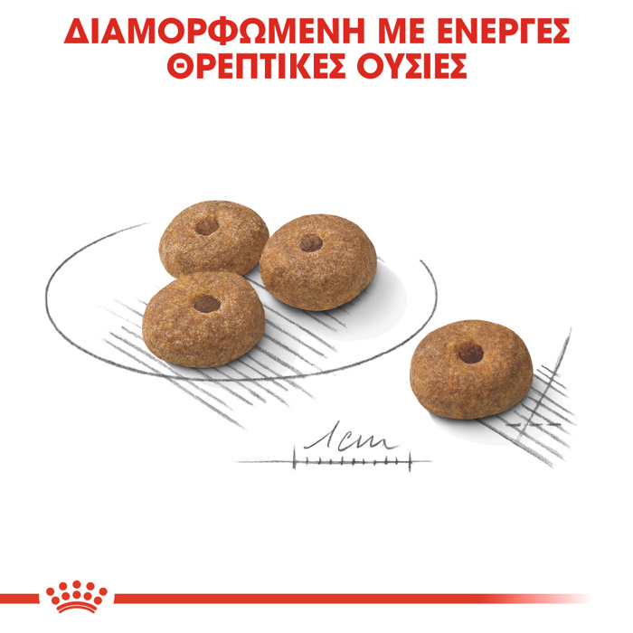 ROYAL CANIN MINI STERILISED ADULT 3KG ΞΗΡΑ ΤΡΟΦΗ ΣΚΥΛΟΥ ROYAL CANIN MINI STERILISED ADULT 3KG XIRA TROFI SKuLOu