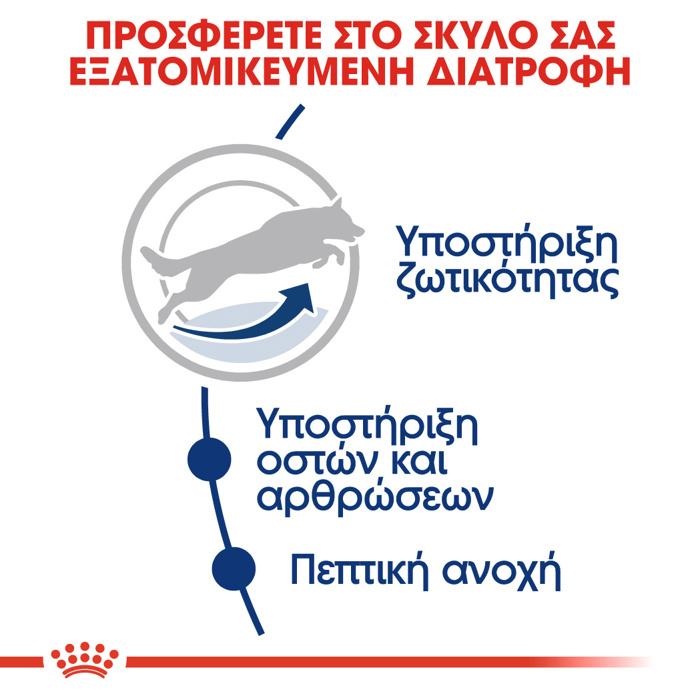 ROYAL CANIN MAXI ADULT 5+ 15KG XIRA TROFI SKuLOu