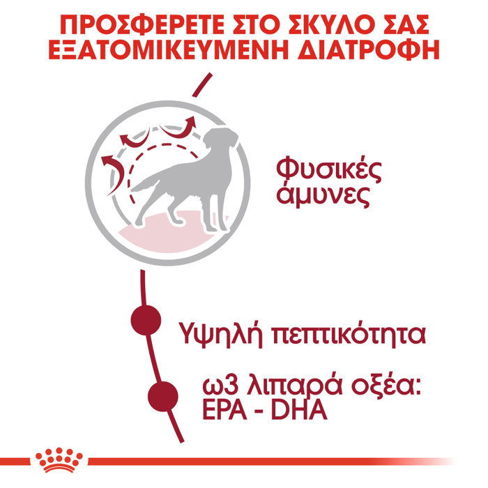 ROYAL CANIN MEDIUM ADULT 4KG ΞΗΡΑ ΤΡΟΦΗ ΣΚΥΛΟΥ ROYAL CANIN MEDIUM ADULT 4KG XIRA TROFI SKuLOu