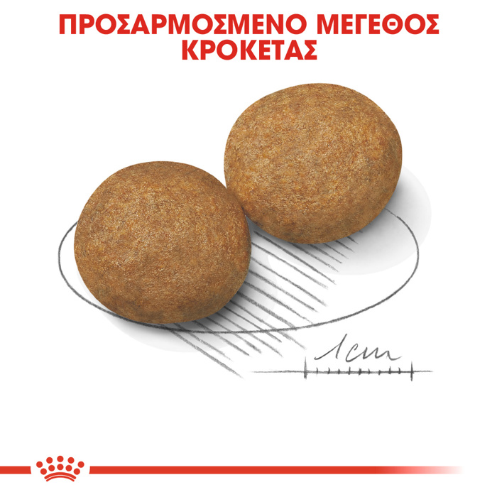 ROYAL CANIN MEDIUM ADULT 4KG ΞΗΡΑ ΤΡΟΦΗ ΣΚΥΛΟΥ ROYAL CANIN MEDIUM ADULT 4KG XIRA TROFI SKuLOu