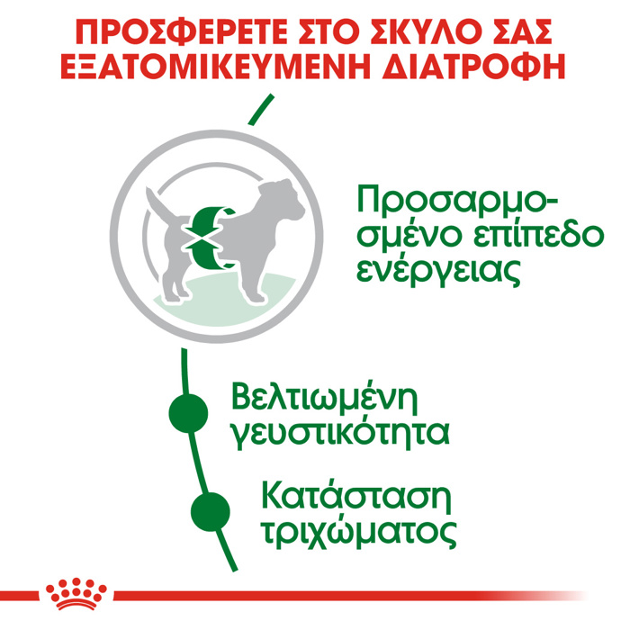 ROYAL CANIN MINI ADULT 2KG ΞΗΡΑ ΤΡΟΦΗ ΣΚΥΛΟΥ ROYAL CANIN MINI ADULT 2KG XIRA TROFI SKuLOu