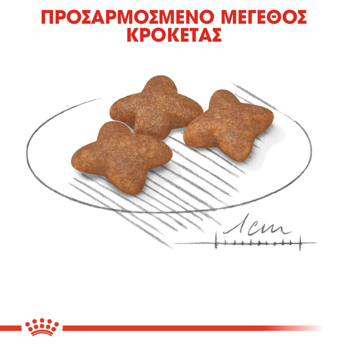 ROYAL CANIN MINI ADULT 2KG ΞΗΡΑ ΤΡΟΦΗ ΣΚΥΛΟΥ ROYAL CANIN MINI ADULT 2KG XIRA TROFI SKuLOu