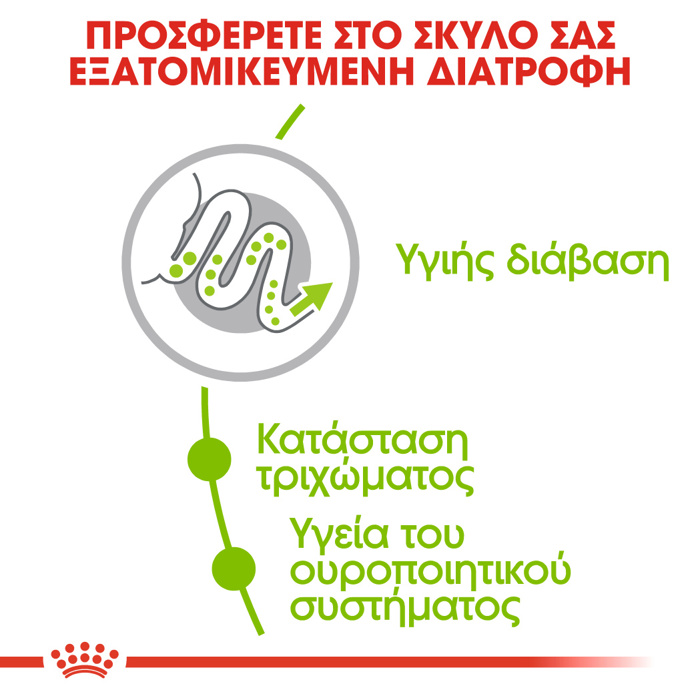ROYAL CANIN XSMALL ADULT 3KG ΞΗΡΑ ΤΡΟΦΗ ΣΚΥΛΟΥ ROYAL CANIN XSMALL ADULT 3KG XIRA TROFI SKuLOu