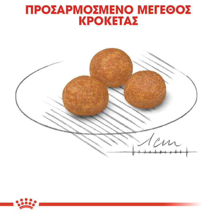 ROYAL CANIN XSMALL ADULT 3KG ΞΗΡΑ ΤΡΟΦΗ ΣΚΥΛΟΥ ROYAL CANIN XSMALL ADULT 3KG XIRA TROFI SKuLOu