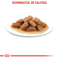 ROYAL CANIN MEDIUM ADULT 140G