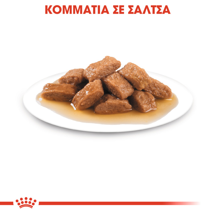 ROYAL CANIN MEDIUM ADULT 140G