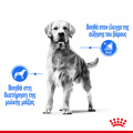 ROYAL CANIN MAXI LIGHT WEIGHT CARE 12KG XIRA TROFI SKuLOu