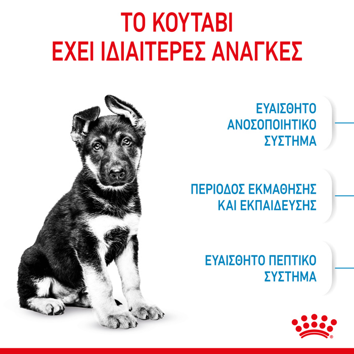 ROYAL CANIN MAXI PUPPY 4KG XIRA TROFI SKuLOu