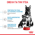 ROYAL CANIN MAXI STARTER 15K XIRA TROFI SKuLOu