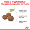 ROYAL CANIN Medium Puppy 15kg Xira Trofi ga Koutabia Mesaion Fulon