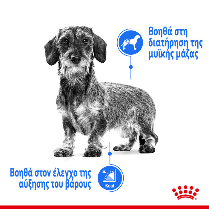 ROYAL CANIN ΦΑΚΕΛΑΚΙΑ ΣΚΥΛΟΥ LIGHT 85G ROYAL CANIN FAKELAKIA SKuLOu LIGHT 85G