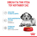 ROYAL CANIN MEDIUM PUPPY 140G