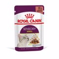 Royal Canin Sensory Smell kommatakia se Saltsa 85Gg