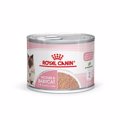 Royal Canin Mother & Babycat Ultra Soft Mousse 195gr