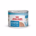 Royal Canin Starter Mother & Babydog Mous 195gr