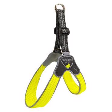 CORALPINA ΣΑΜΑΡΑΚΙ YELLO NO 2 (3-4kg)