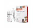 Wepharm Wehemo Sumpliroma Diatrofis Skulou kai Gtas ga tin upostirixi tis Anaimias se Siropi 30ml