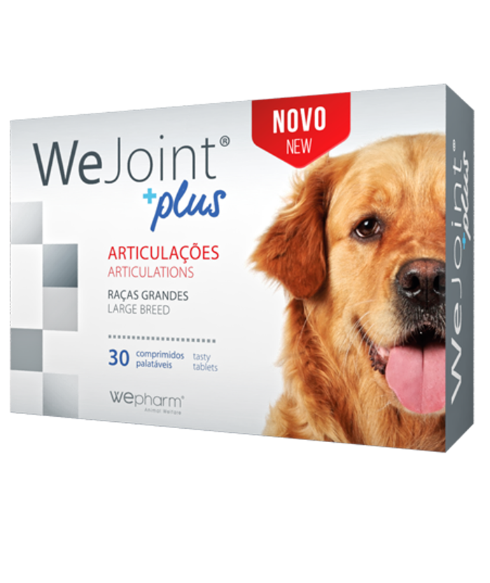 Wepharm Wejoint Plus Xondroprostaterthtiko  Sumpliroma Diatrofis Skulou Large Breed 30 Diskia