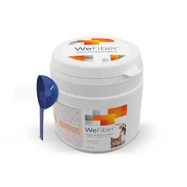 WEFIBER ΣΚΟΝΗ ΓΙΑ ΦΥΣΙΚΗ ΛΕΙΤΟΥΡΓΙΑ ΕΝΤΕΡΟΥ 225gr 