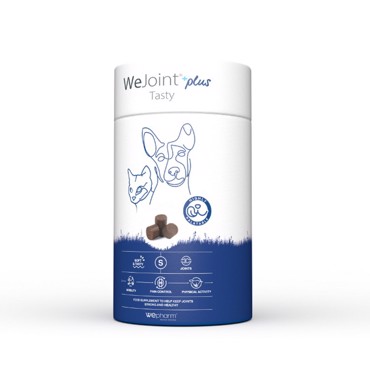 WEJOINT PLUS SMALL DOGS-CATS TASTY 30 SOFT CHEWS ΓΙΑ ΑΡΘΡΩΣΕΙΣ  