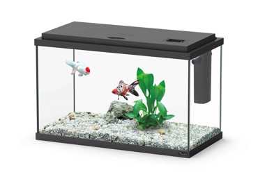 Aquatlantis Ενυδρείο Funny Fish 50 Μαύρο 33.5lt 