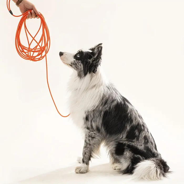 Adiabroxos Odigs 9 Metron Prasinou Xromatos 