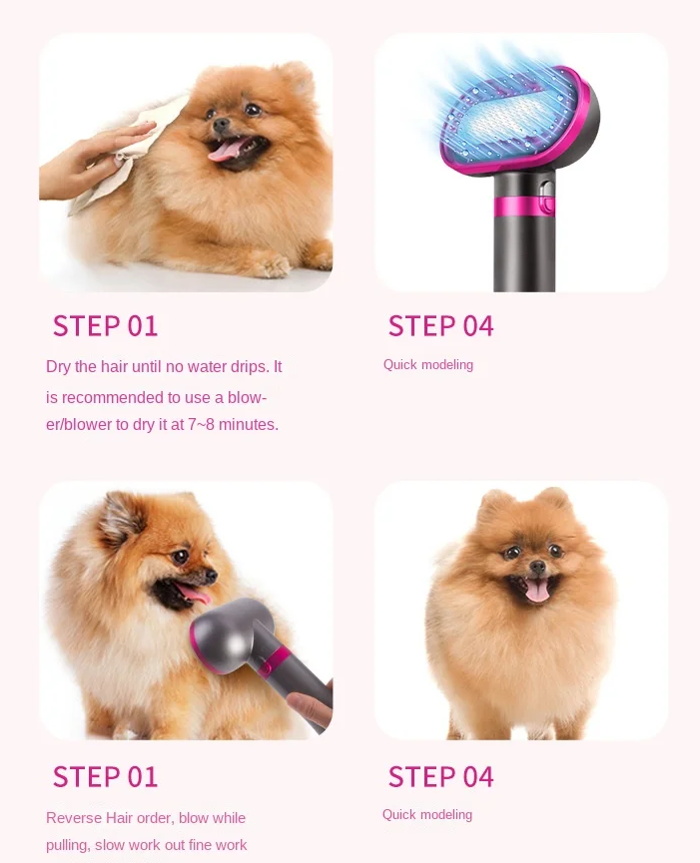 Sesouar – Bourtsa Katoikidion 2-se-1 ga Skulous & Gtes