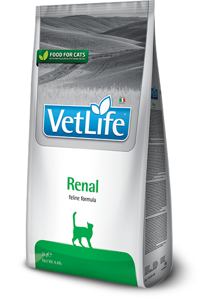 VETLIFE CAT RENAL 400GR